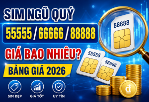 Sim ngũ quý giá bao nhiêu