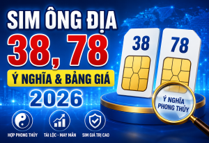Sim ông địa