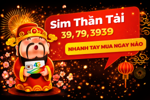 Sim thần tài 39 79